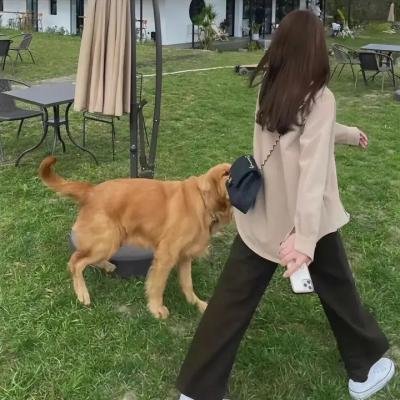 可怜虫和胡言乱语者